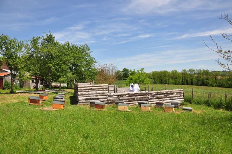 © F.BRASSARD / 2020 - Ferme de La Nolphie, Microferme Agroécologique Dordogne