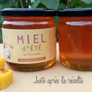 Miel Bio de printemps Vente à la ferme miel bio Ferme de la Nolphie Dordogne Miel bio Français Apiculteur bio