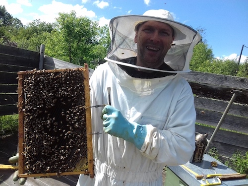 Apiculture - Miel bio - Dordogne - Stage - Pépinière