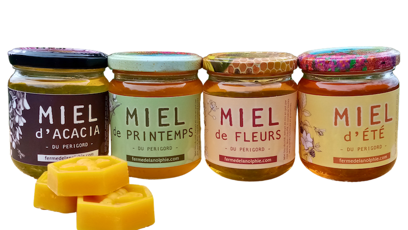 Ferme de La Nolphie Miel bio Dordogne Perigord Stage apiculture