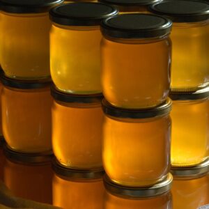 Ferme de La Nolphie Miel bio Dordogne Perigord Stage apiculture greffe taille